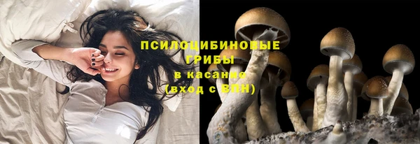 эйфоретик Вяземский