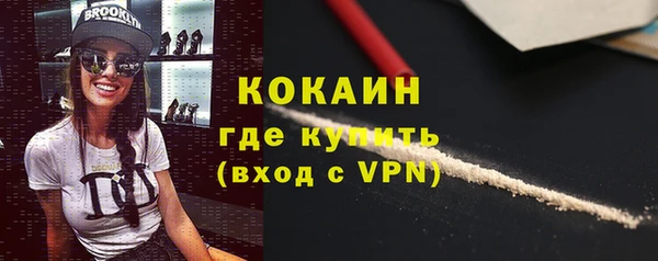 шишки Вязьма