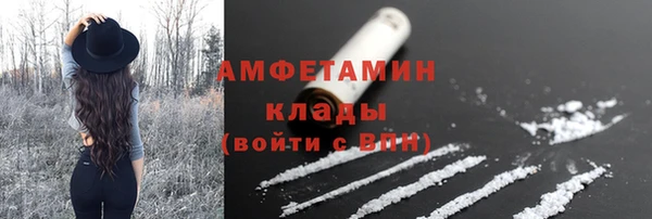эйфоретик Вяземский