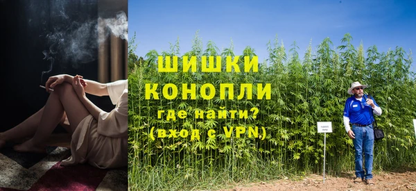 шишки Вязьма
