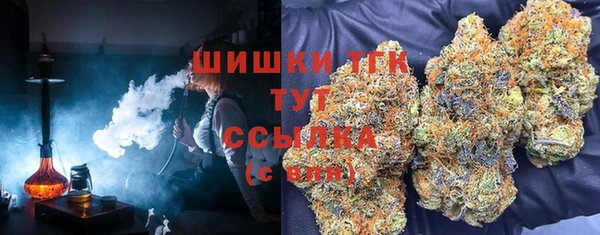 индика Горно-Алтайск