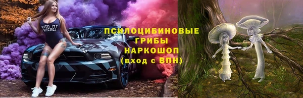 эйфоретик Вяземский